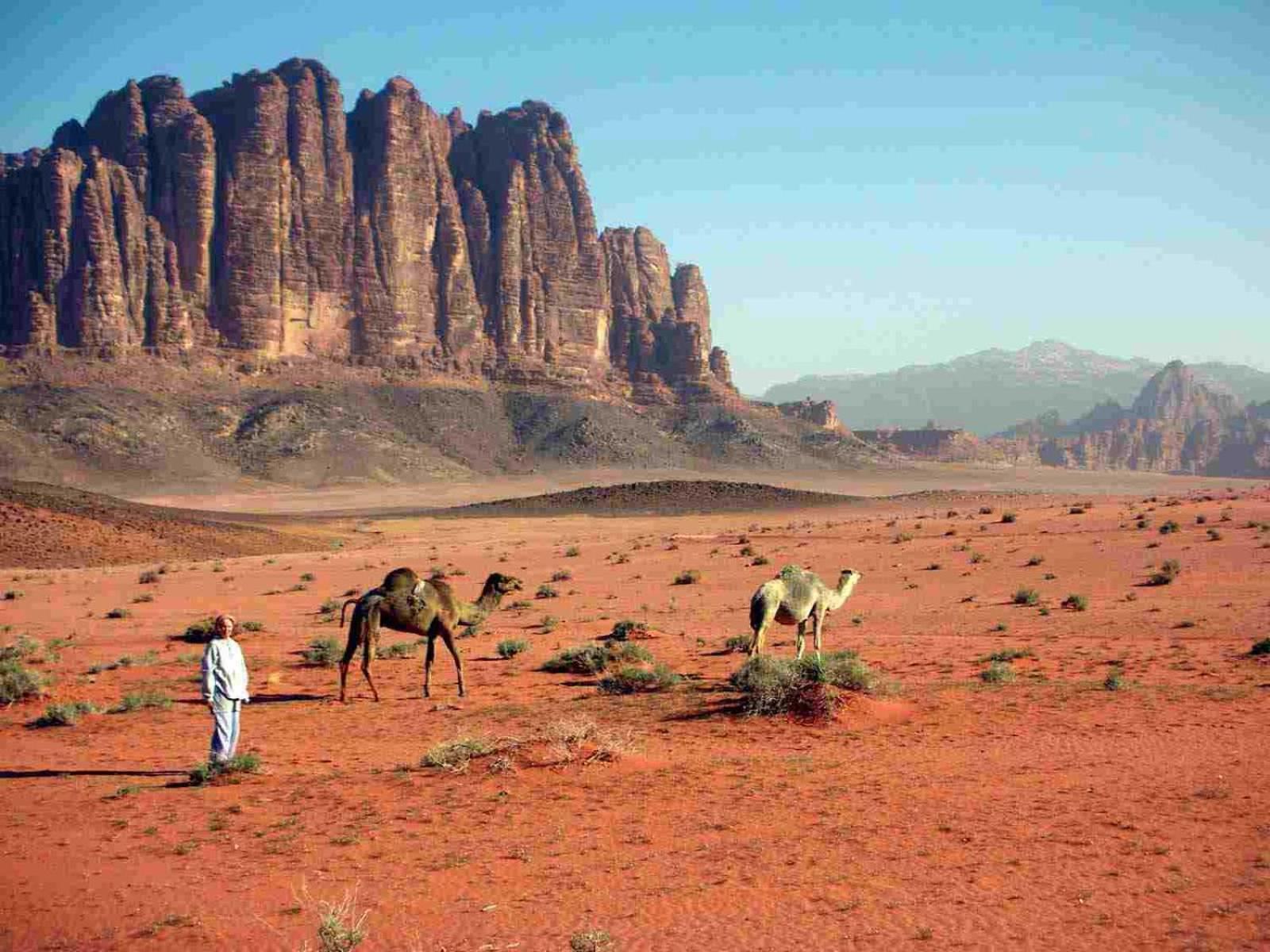 Wadi Rum Caeser Camp Hotell Eksteriør bilde